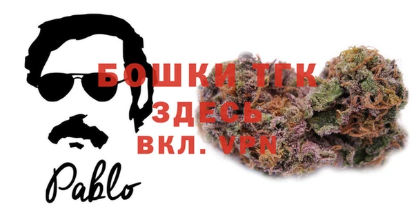 гашик Арсеньев