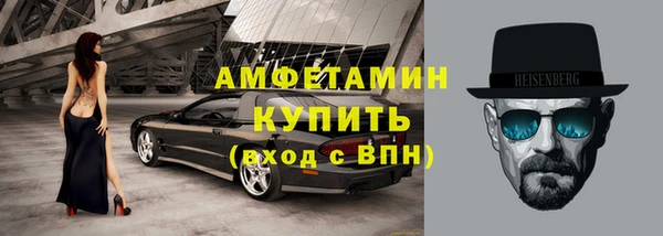 сатива Аркадак
