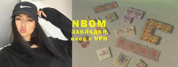 сатива Аркадак