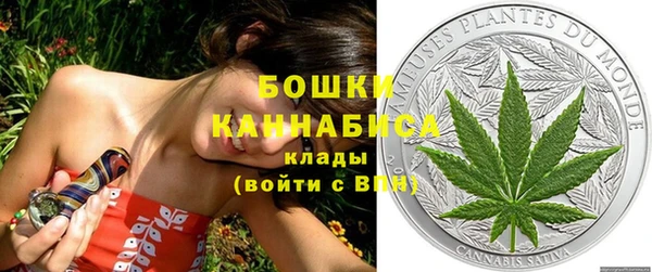 сатива Аркадак