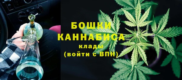 гашик Арсеньев