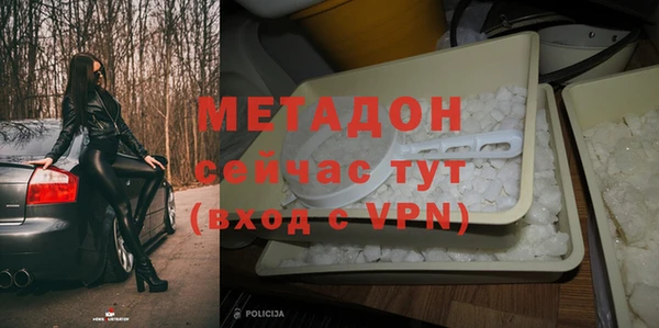 сатива Аркадак