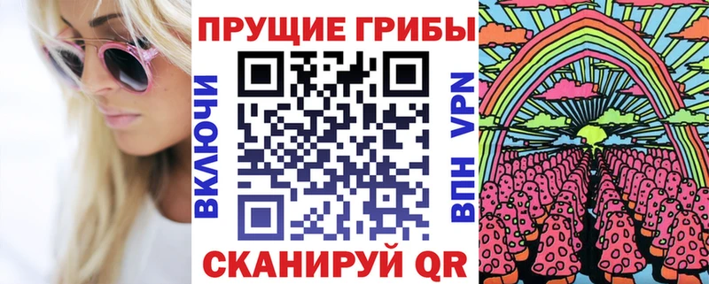 купить   Полярный  omg онион  Псилоцибиновые грибы Cubensis 